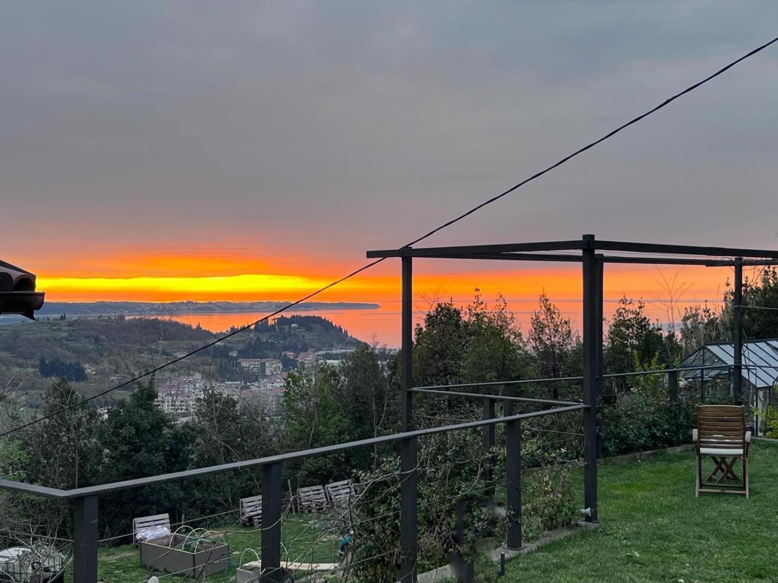 Sea View Olive Retreat Daire Portorož Dış mekan fotoğraf