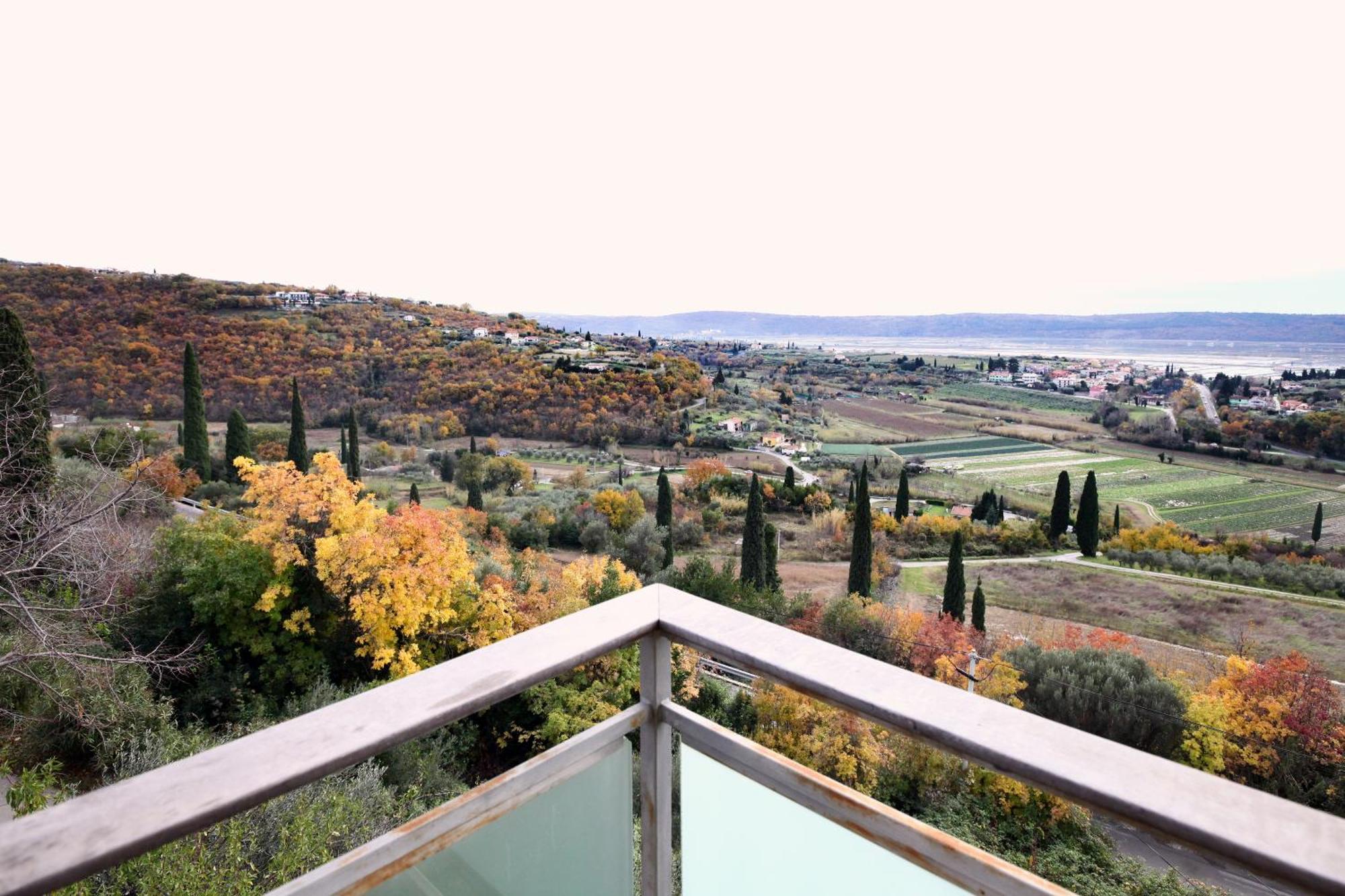 Sea View Olive Retreat Daire Portorož Dış mekan fotoğraf