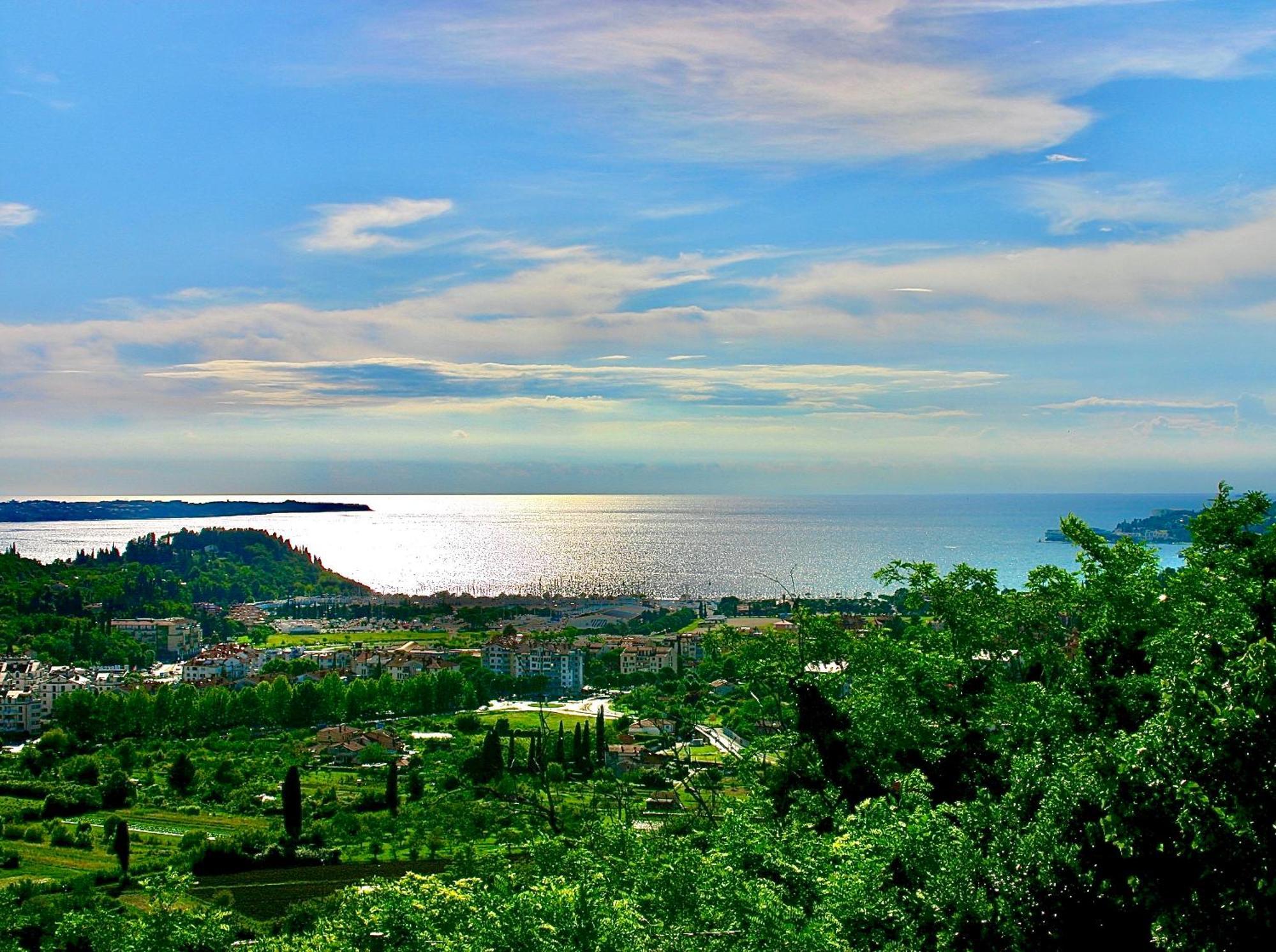 Sea View Olive Retreat Daire Portorož Dış mekan fotoğraf