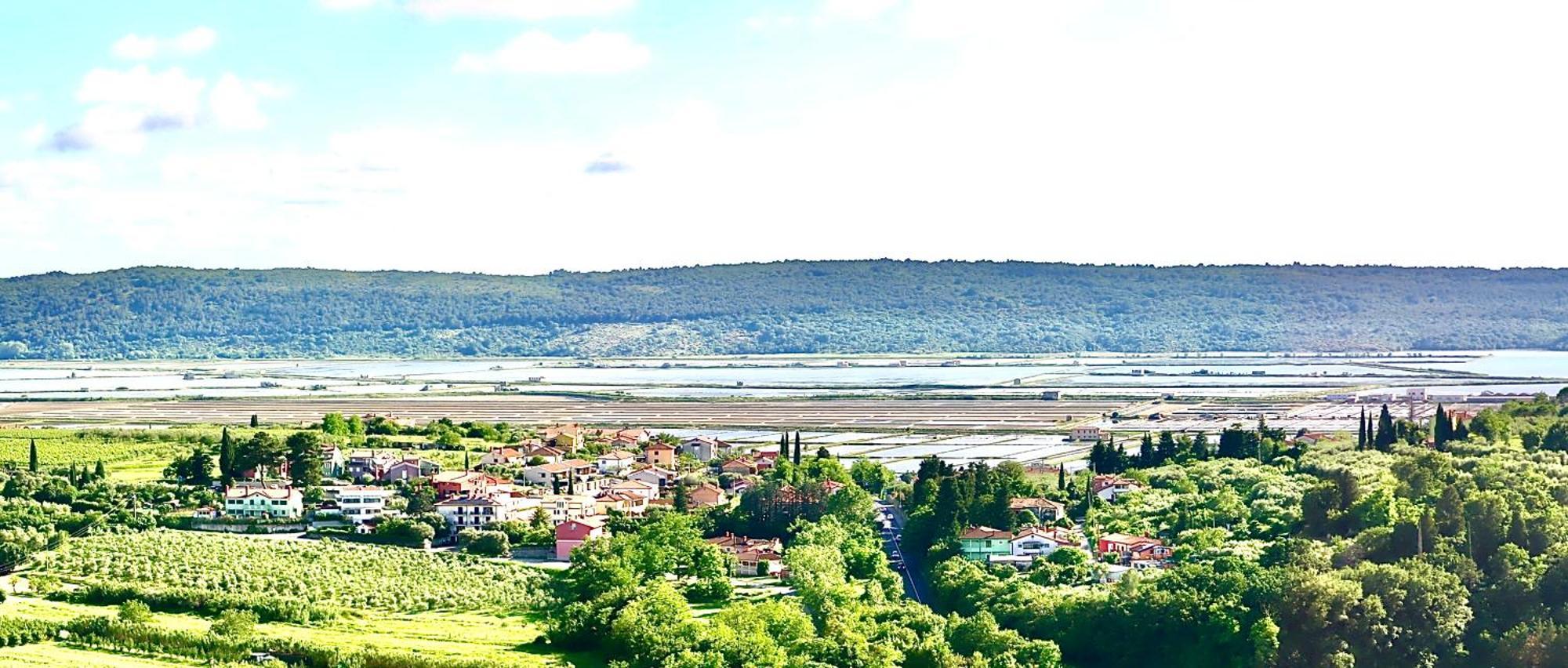 Sea View Olive Retreat Daire Portorož Dış mekan fotoğraf